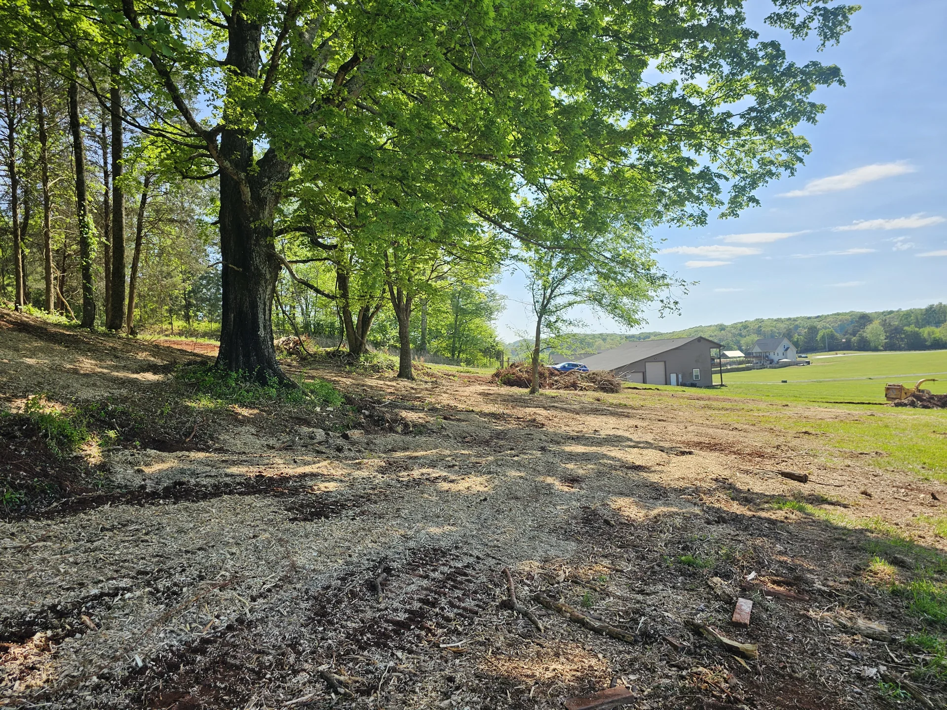 Mulched ground with larger trees retained on the property.
